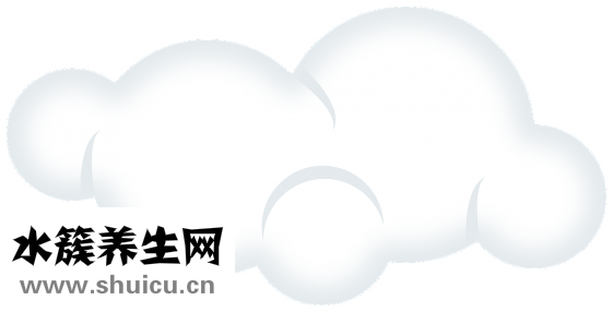 煮飯要放多少水