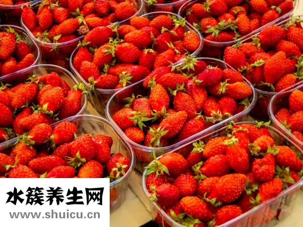 痛風可以吃海帶嗎