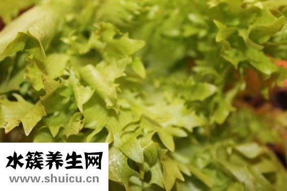 石斛怎么吃最好