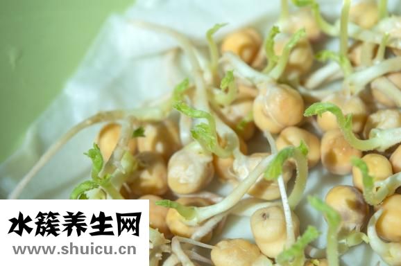 痛風可以吃海帶嗎