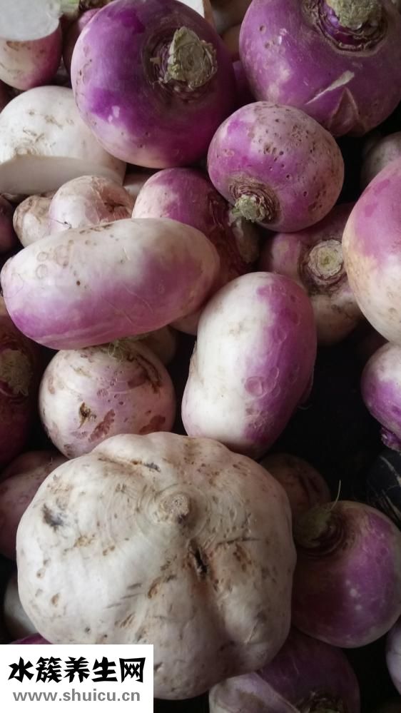 蕪菁和蘿卜的區(qū)別