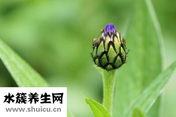 血氧飽和度低的危害