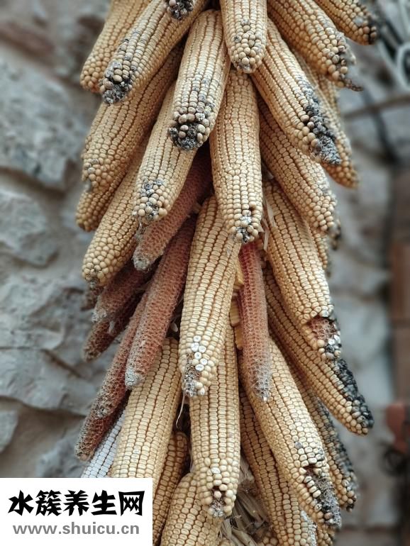 玉米怎么做好吃