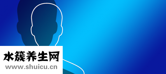 蟹味菇的功效與作用