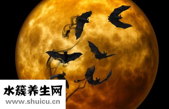 肩胛下角平對(duì)第幾肋