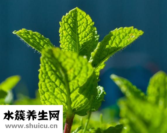 瘙癢癥怎么治療