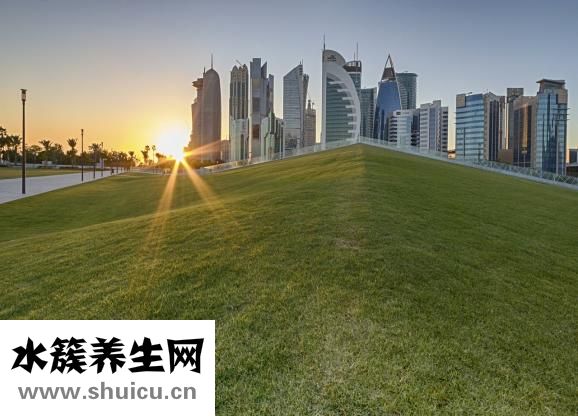 胎停育主要原因