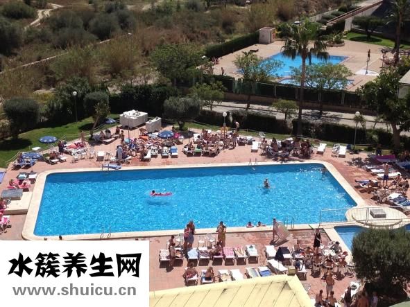 陽池準確位置圖