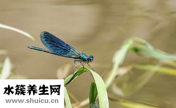 消毒柜怎么使用