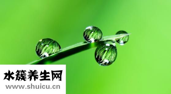 生脈飲的副作用