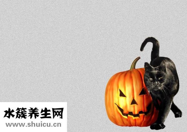 牙齒用手摸有臭味