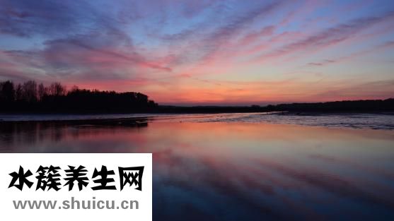 陽池準確位置圖