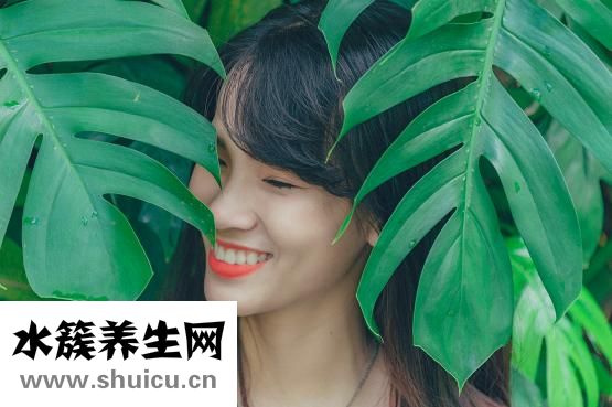 黑枸杞可以吃嗎