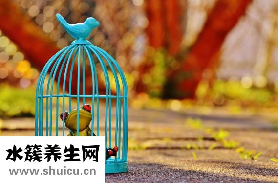 腎彩超需要空腹嗎