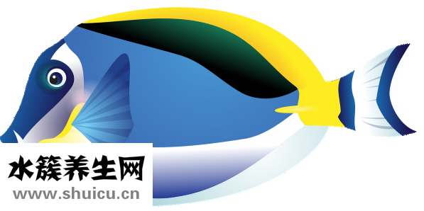 胃潰瘍吃什么藥