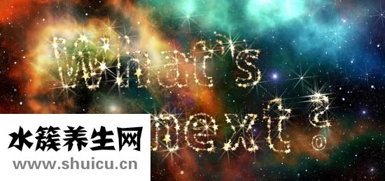 石斛泡水的功效