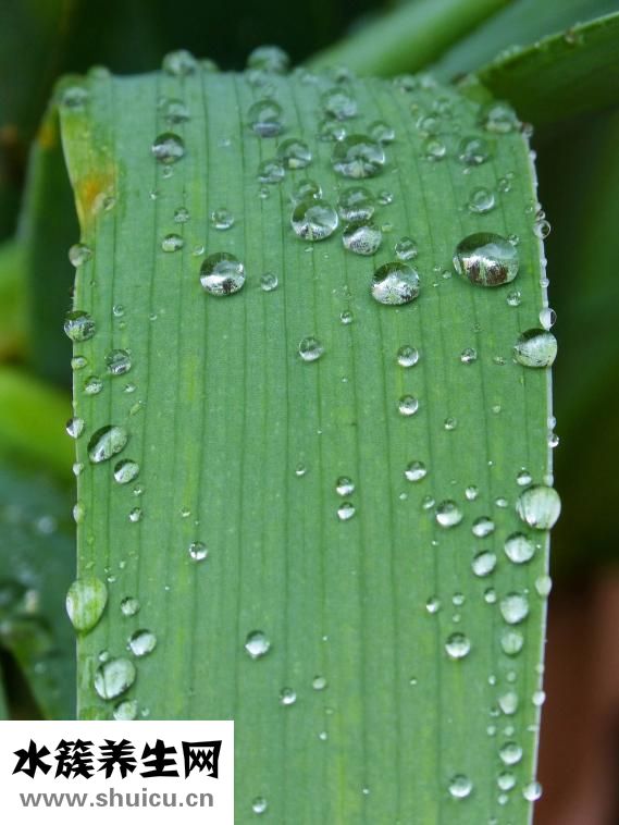 喝什么水最健康