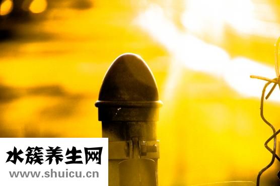 駝背矯正器有用嗎