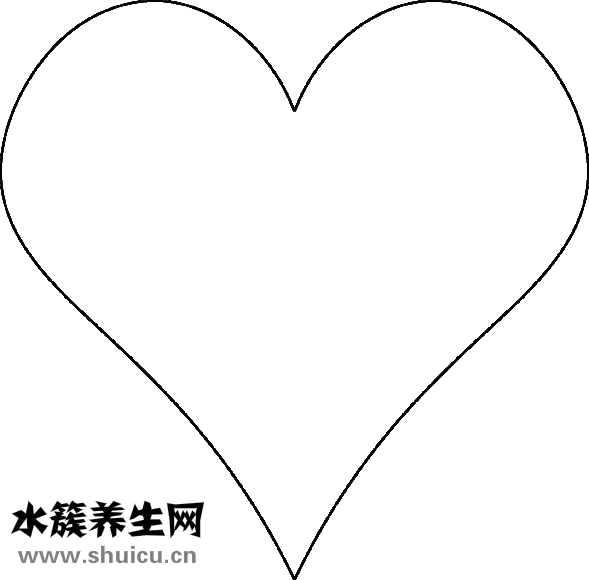 沙棘的作用和功效