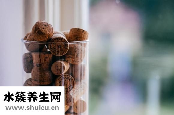 野芹菜怎么做好吃