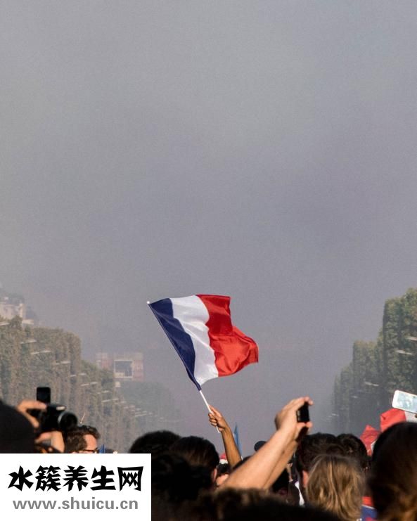 西洋參有什么好處