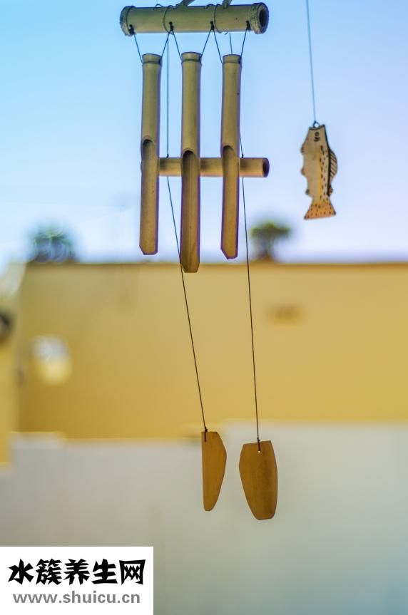 腸功能紊亂的癥狀