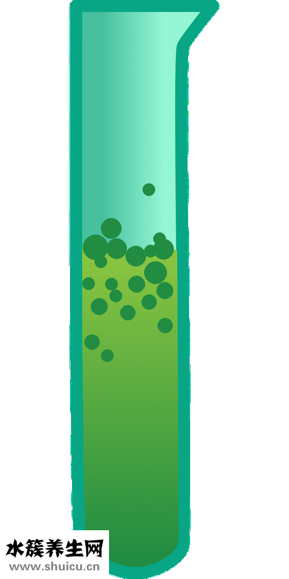 血脂高吃什么好