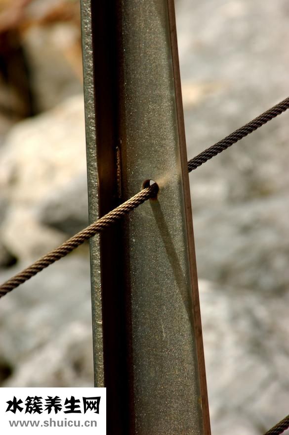 血管支架手術(shù)費用