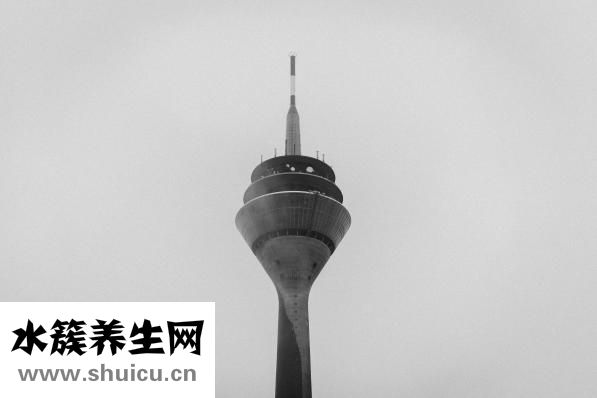 腿長標準對照表