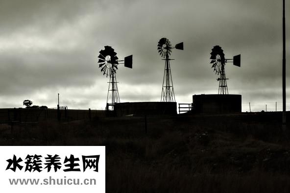 荷蘭豆不熟有毒嗎