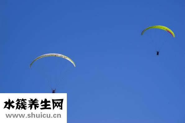 運動最佳時間段