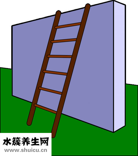 遺精有什么壞處