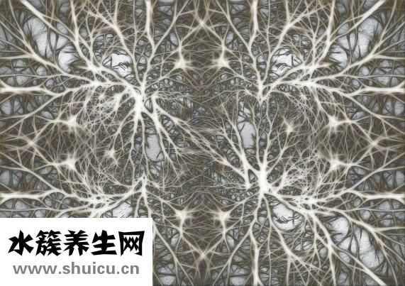 神經(jīng)鞘磷脂