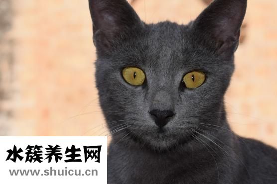 眼睛水腫怎么解決