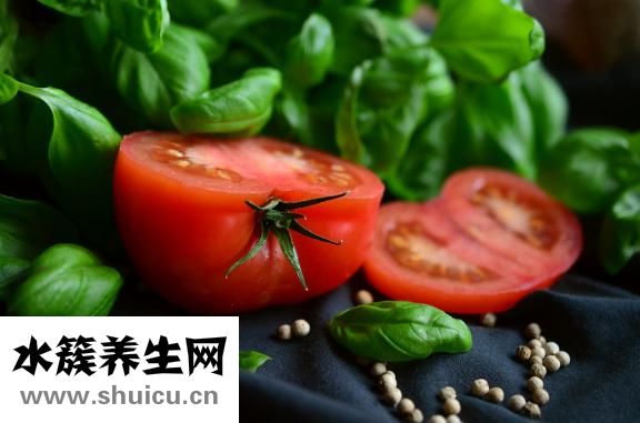 蔬菜汁的做法大全