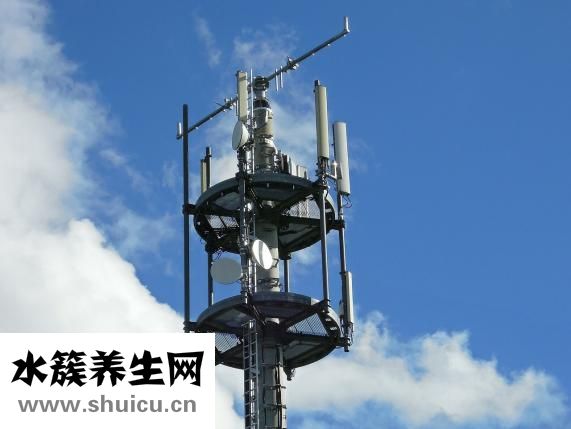 胎心監護圖怎么看