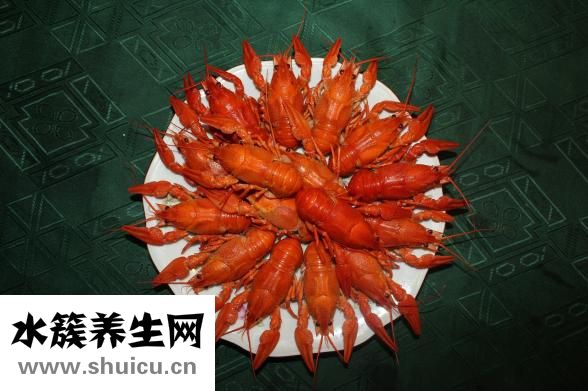 盱眙龍蝦怎么讀