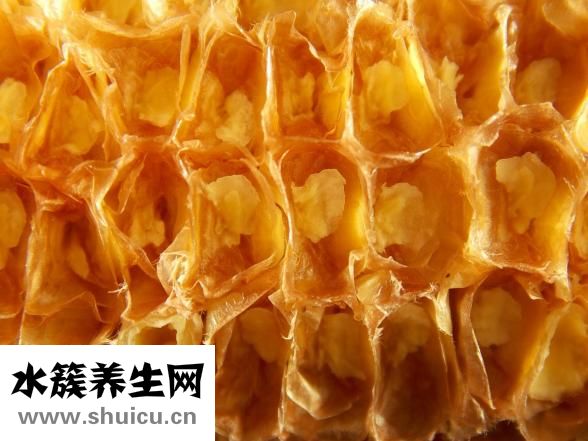 玉米筍的功效與作用