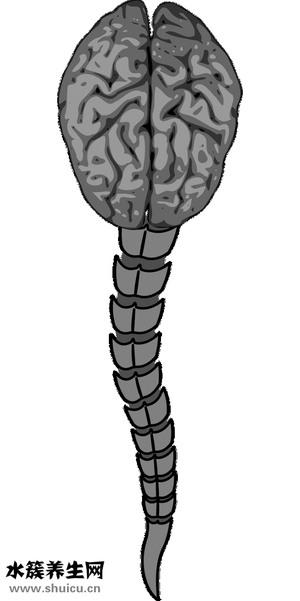 手發(fā)抖是什么原因