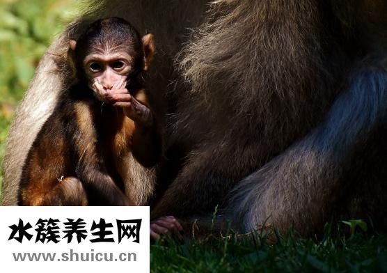 開市是什么意思