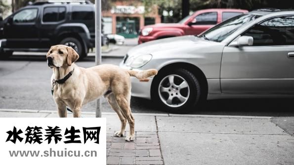 為什么睡覺流口水