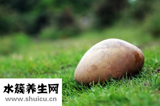 印第安人是什么人種