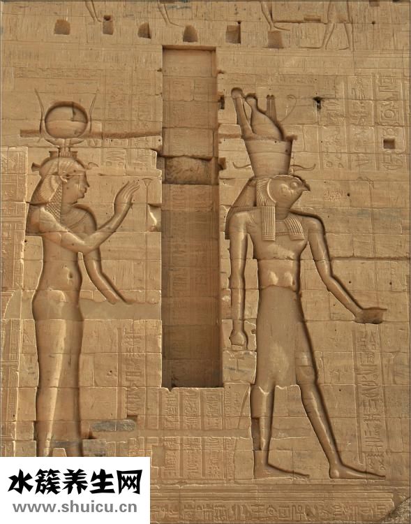 御姐是什么意思