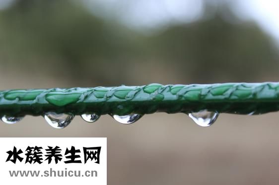 人一天要喝多少水