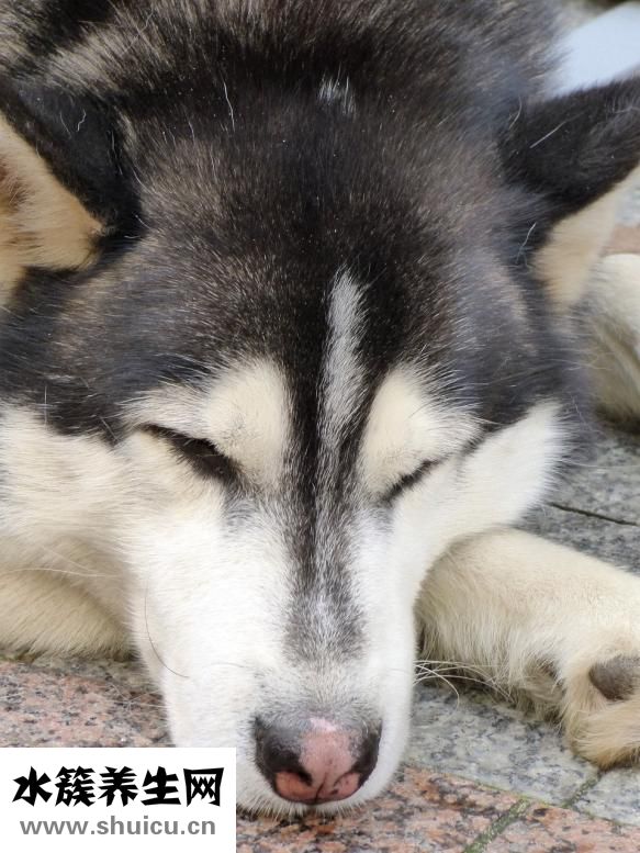 喉嚨痛吃什么消炎藥