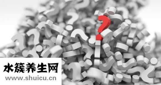 吃什么可以長頭發