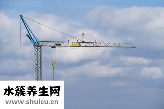 如何提高精子質(zhì)量