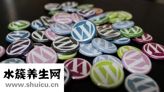 雙離合是什么意思