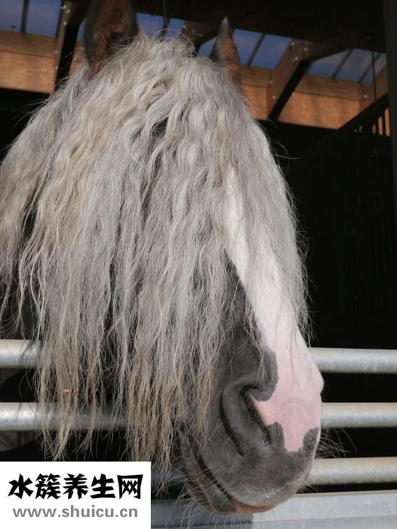 頭發怎么扎好看