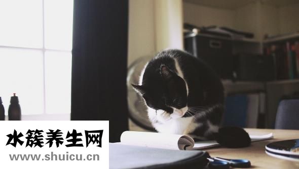 唐篩什么時候做